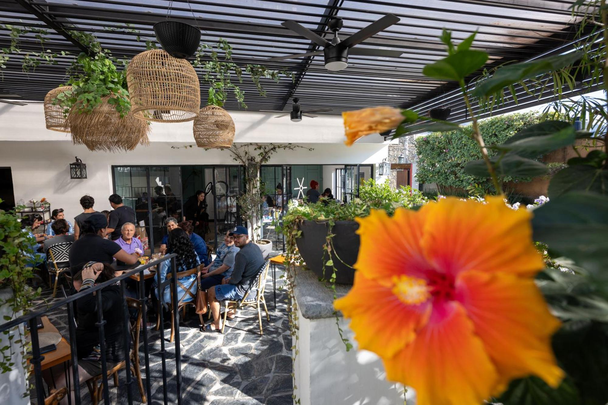 Tatala Hotel & Garden Tepoztlán Dış mekan fotoğraf